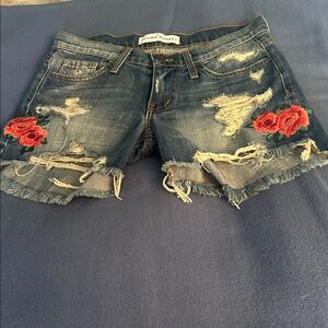 Flying Monkey Ripped Denim Shorts with Floral Embroidery
